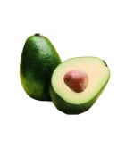 Avocado Plant  (Hybrid, Pack of 2)