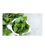 Mint Plant  (Hybrid, Pack of 2)