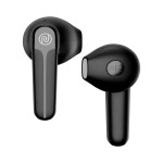 Noise Buds VS202 (Charcoal Black, True Wireless)